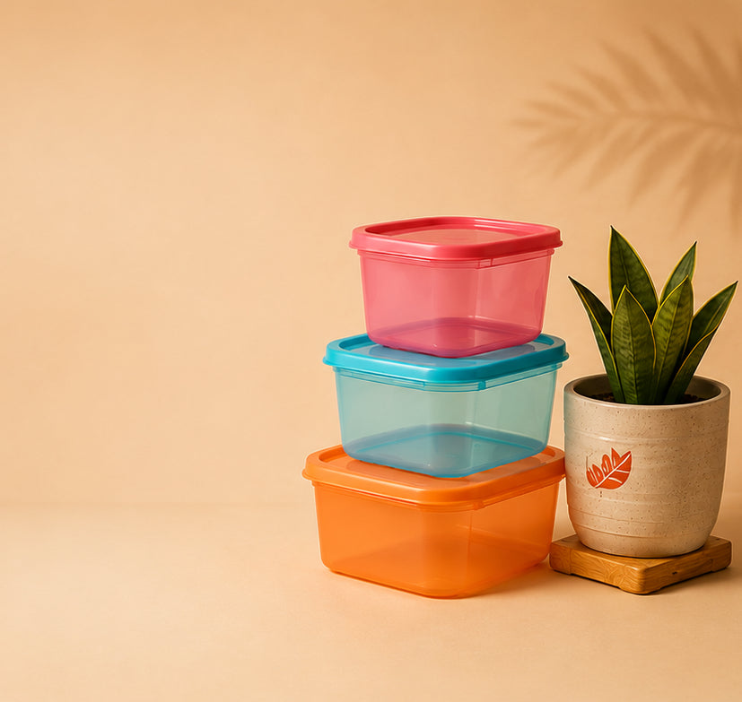 Fresh Finds for Every Home